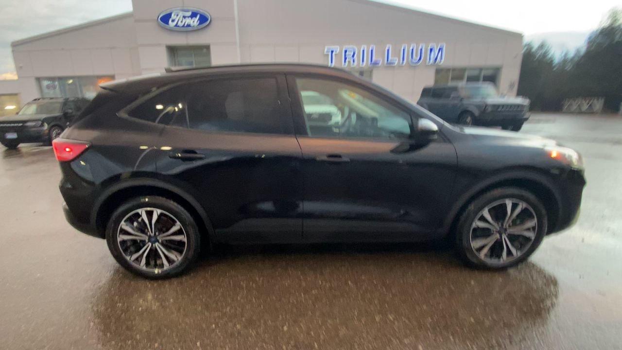 2022 Ford Escape SEL Photo