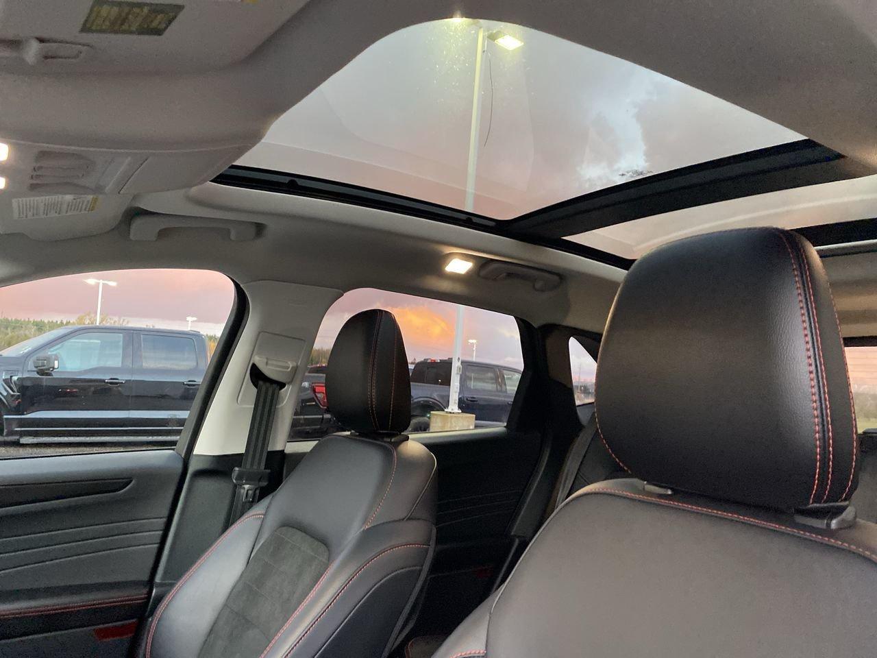 2022 Ford Escape SEL Photo