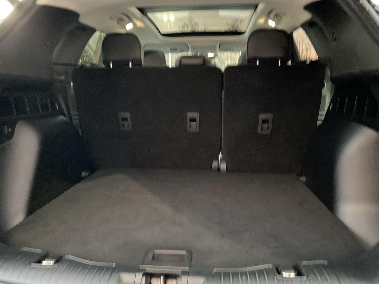 2022 Ford Escape SEL Photo