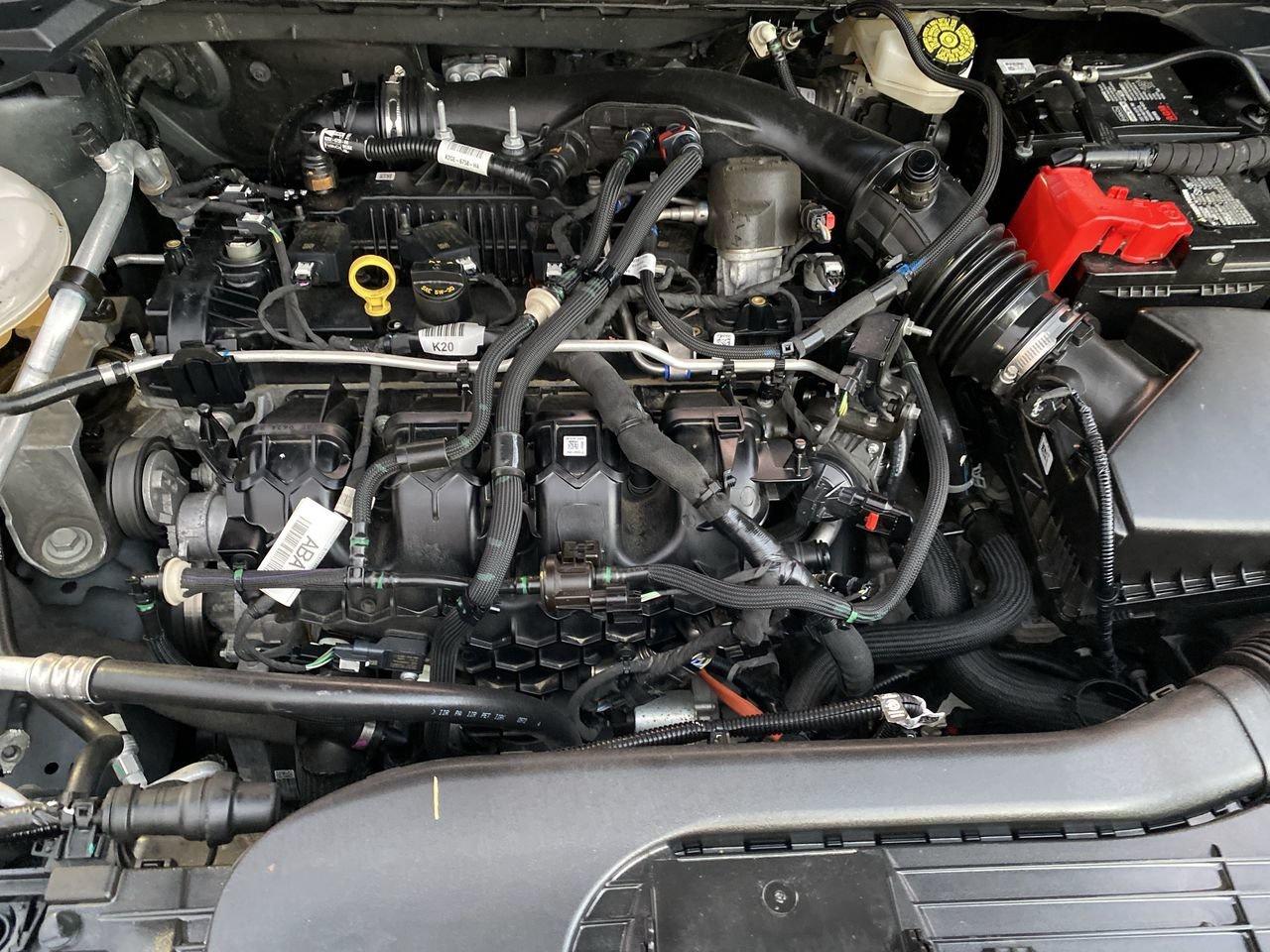 2022 Ford Escape SEL Photo