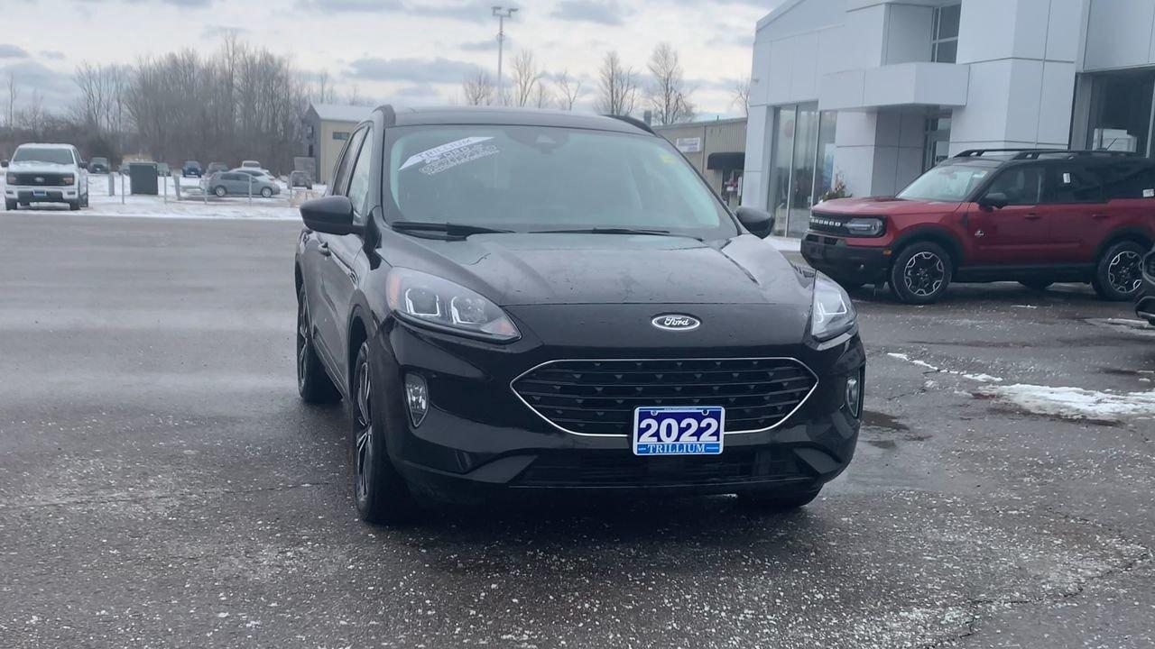 2022 Ford Escape SEL Photo