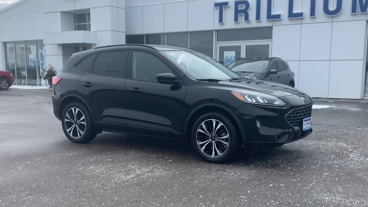 2022 Ford Escape SEL Photo