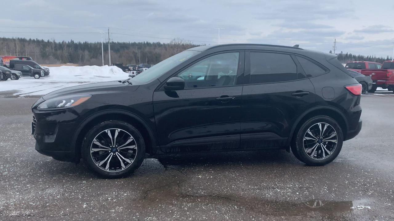 2022 Ford Escape SEL Photo