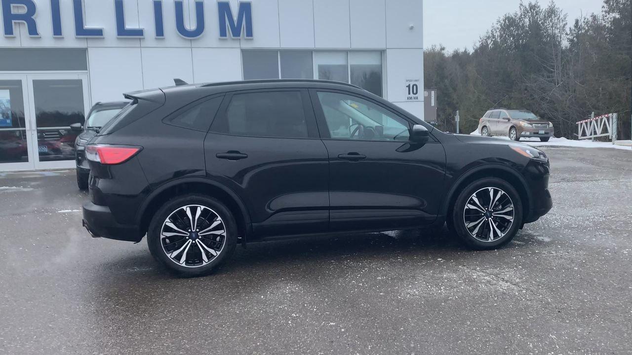 2022 Ford Escape SEL Photo