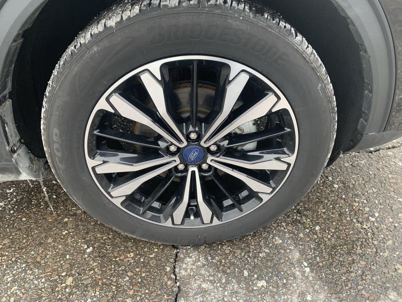 2022 Ford Escape SEL Photo