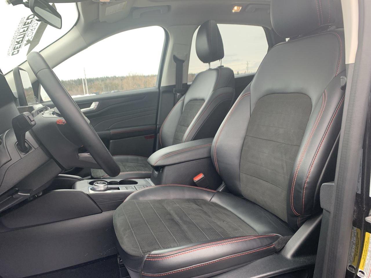 2022 Ford Escape SEL Photo