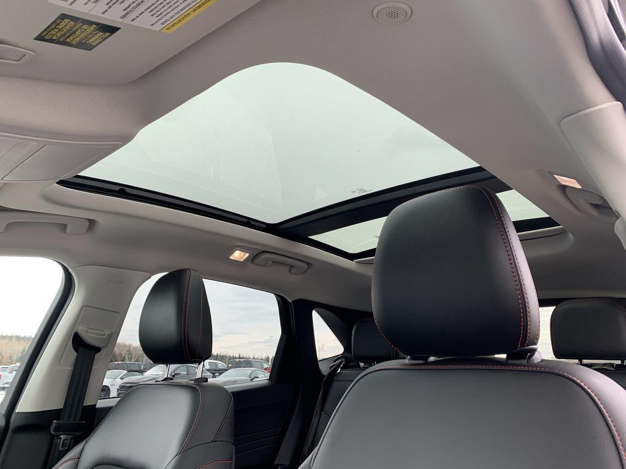 2022 Ford Escape SEL Photo