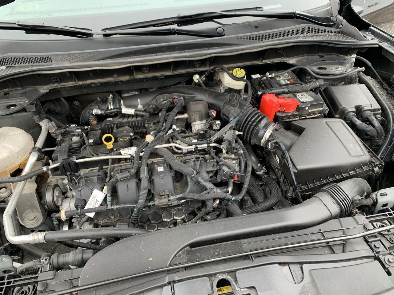 2022 Ford Escape SEL Photo