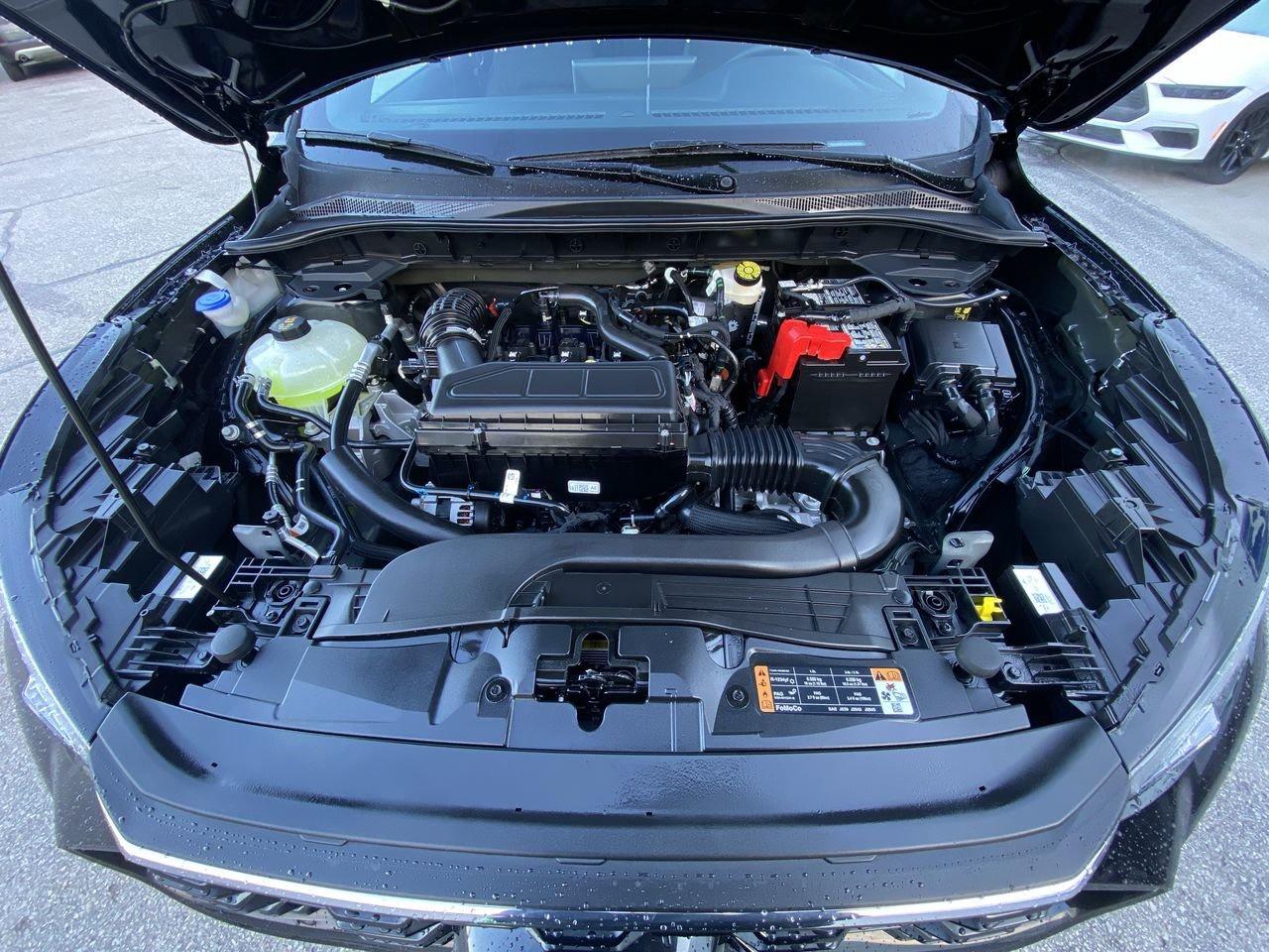 2026 Ford Escape ST-Line Photo