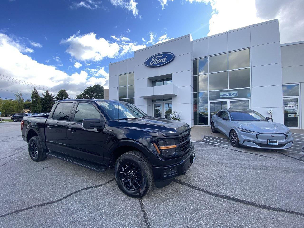 2025 Ford F-150 XLT Photo