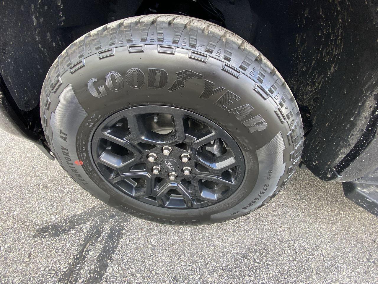 2025 Ford F-150 XLT Photo