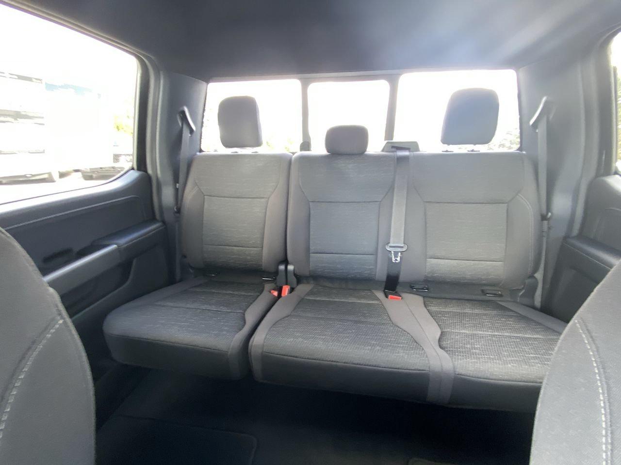 2025 Ford F-150 XLT Photo