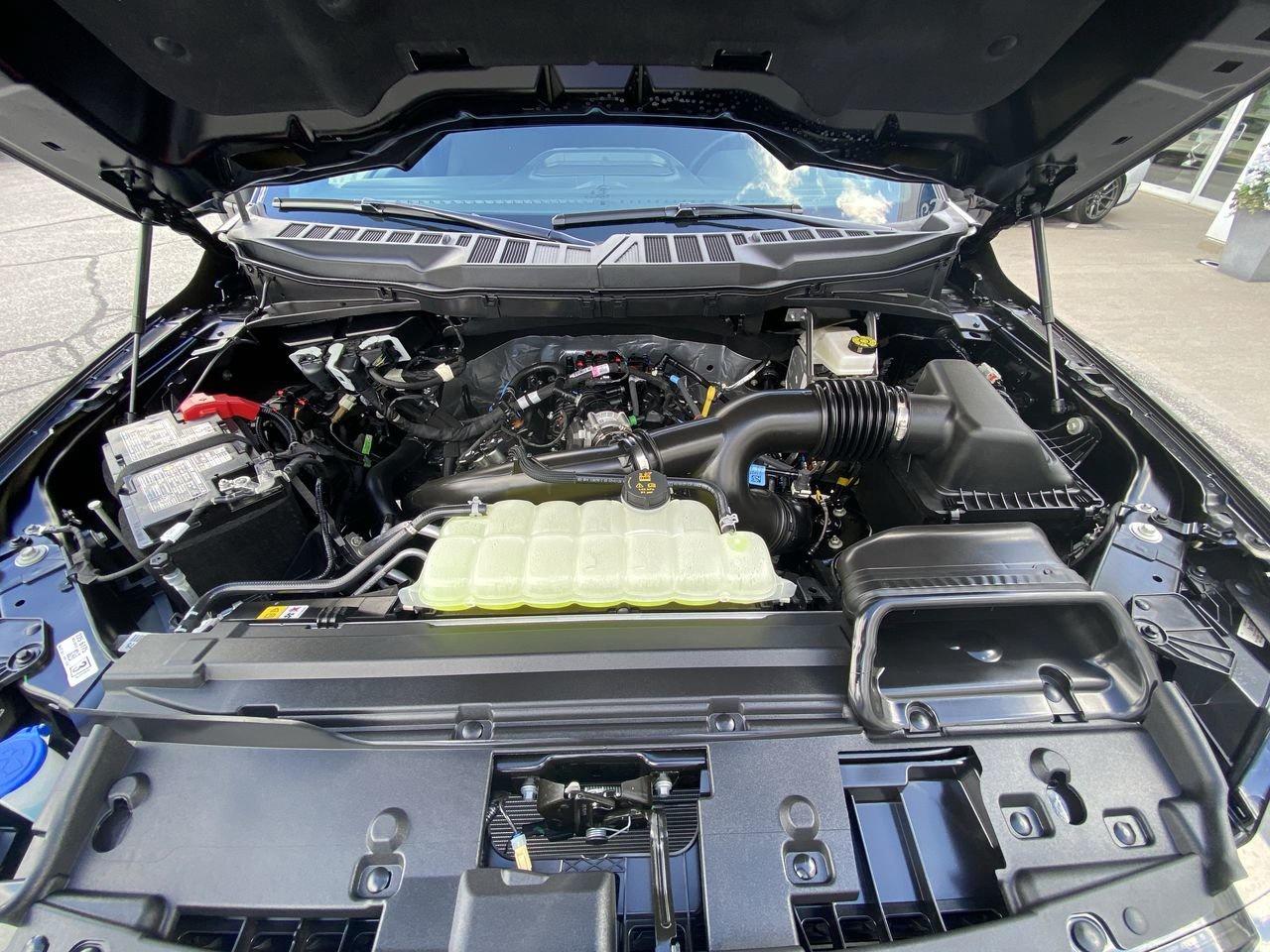 2025 Ford F-150 XLT Photo