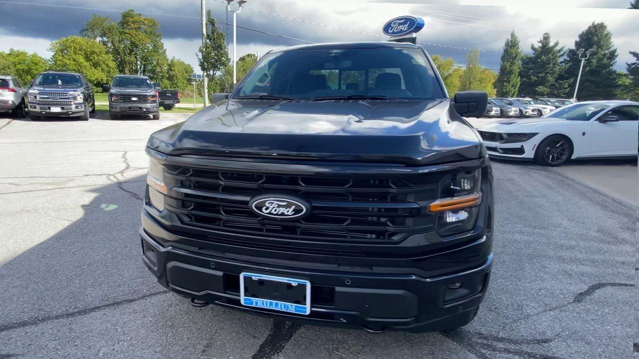2025 Ford F-150 XLT Photo3
