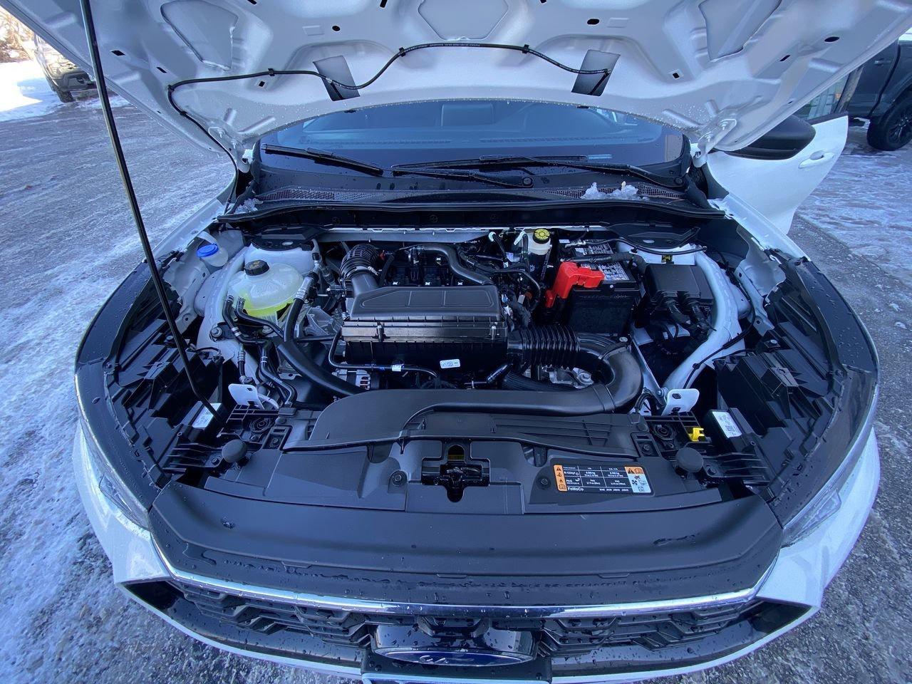 2026 Ford Escape ST-Line Photo