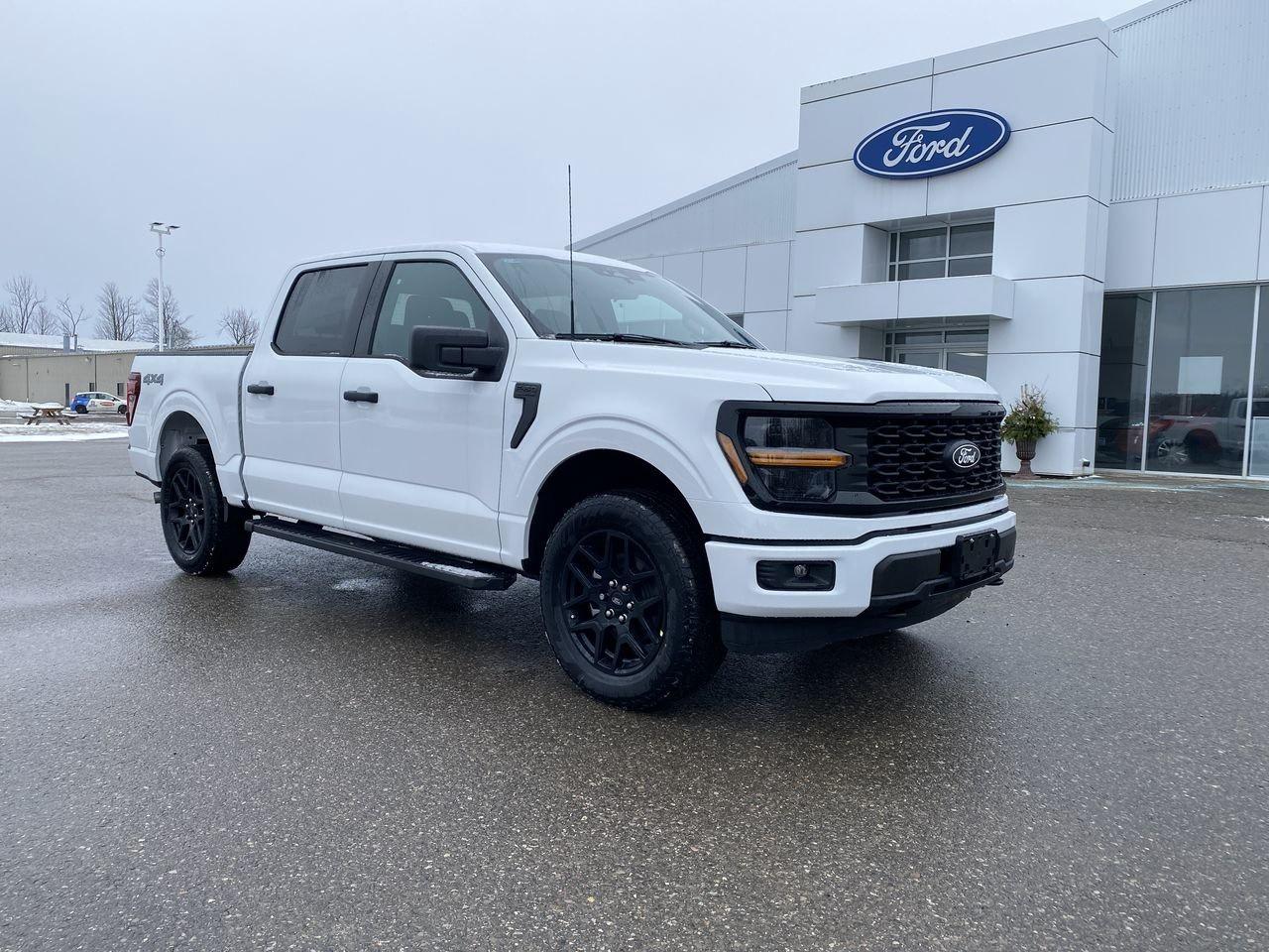 2025 Ford F-150 STX Photo0