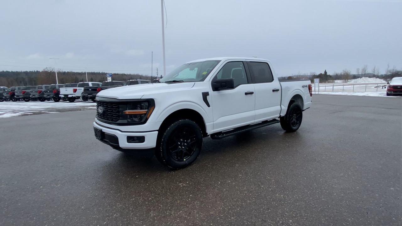 2025 Ford F-150 STX Photo
