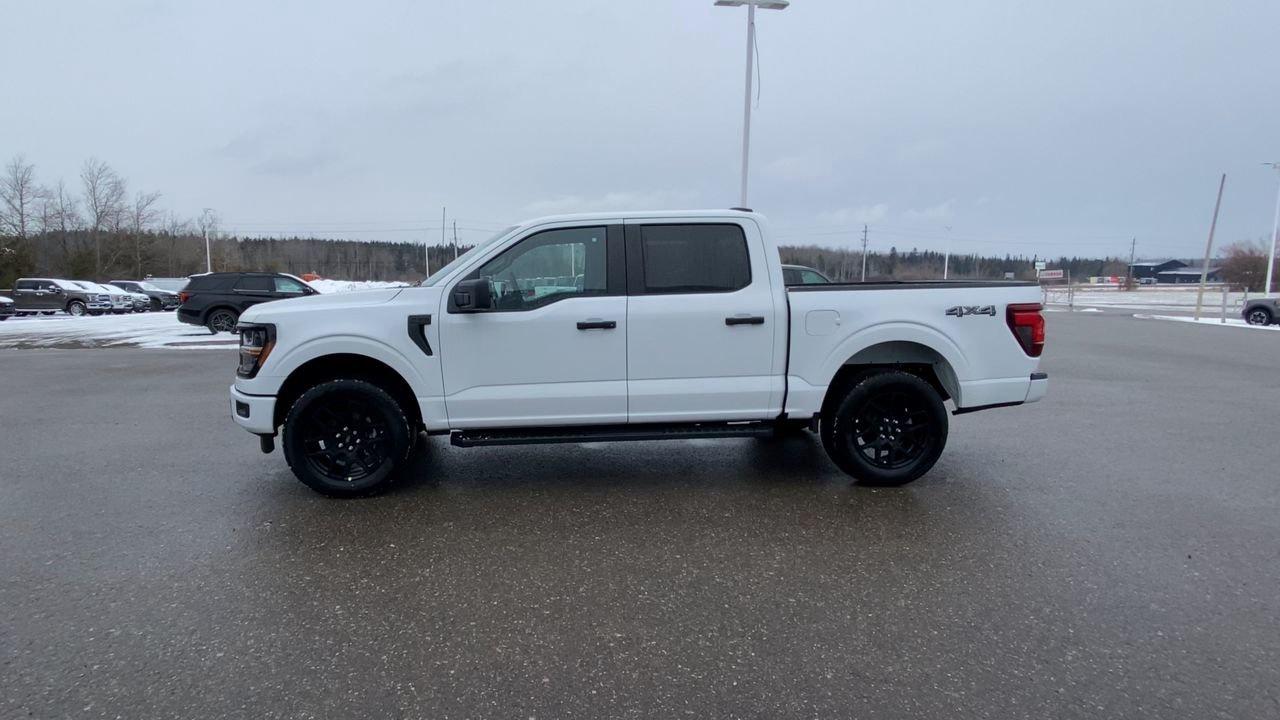 2025 Ford F-150 STX Photo