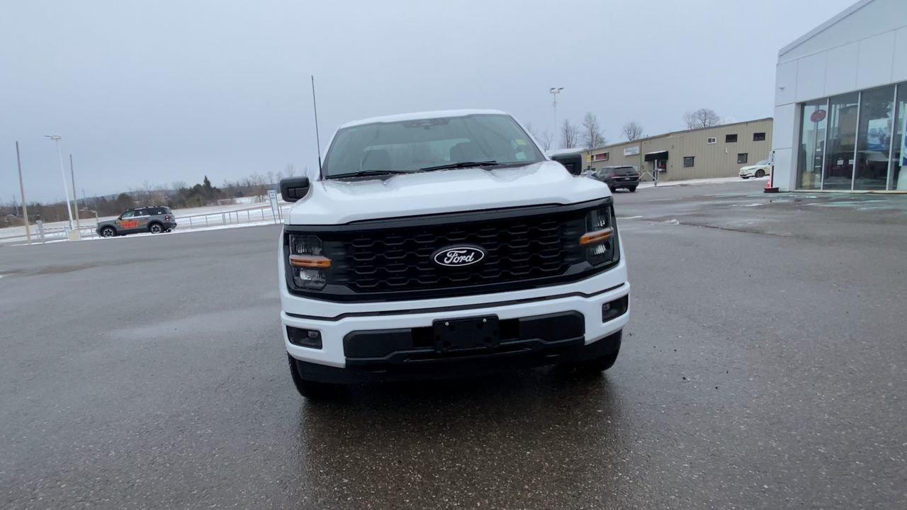 2025 Ford F-150 STX Photo2