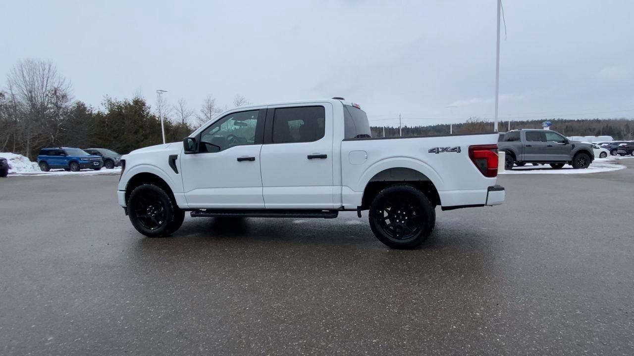 2025 Ford F-150 STX Photo