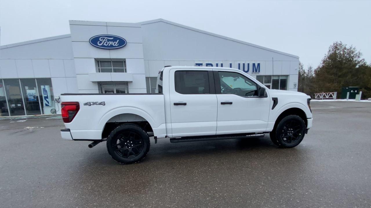 2025 Ford F-150 STX Photo