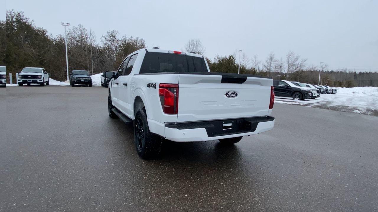 2025 Ford F-150 STX Photo