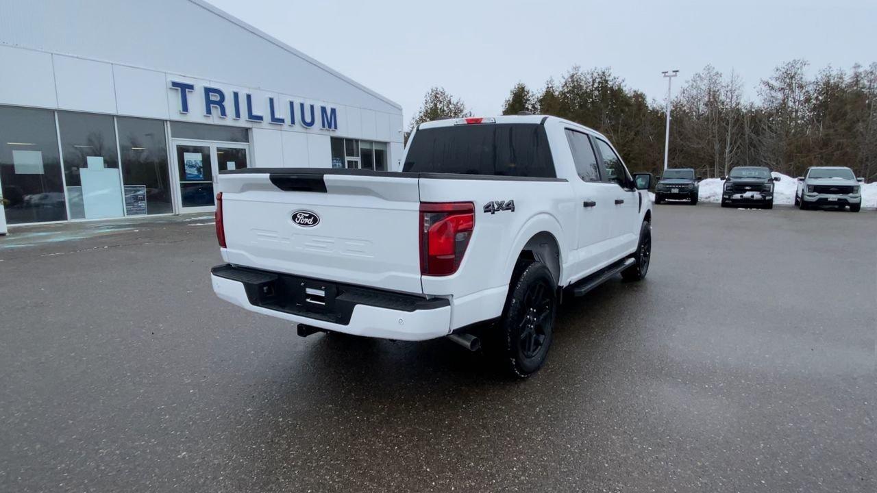 2025 Ford F-150 STX Photo