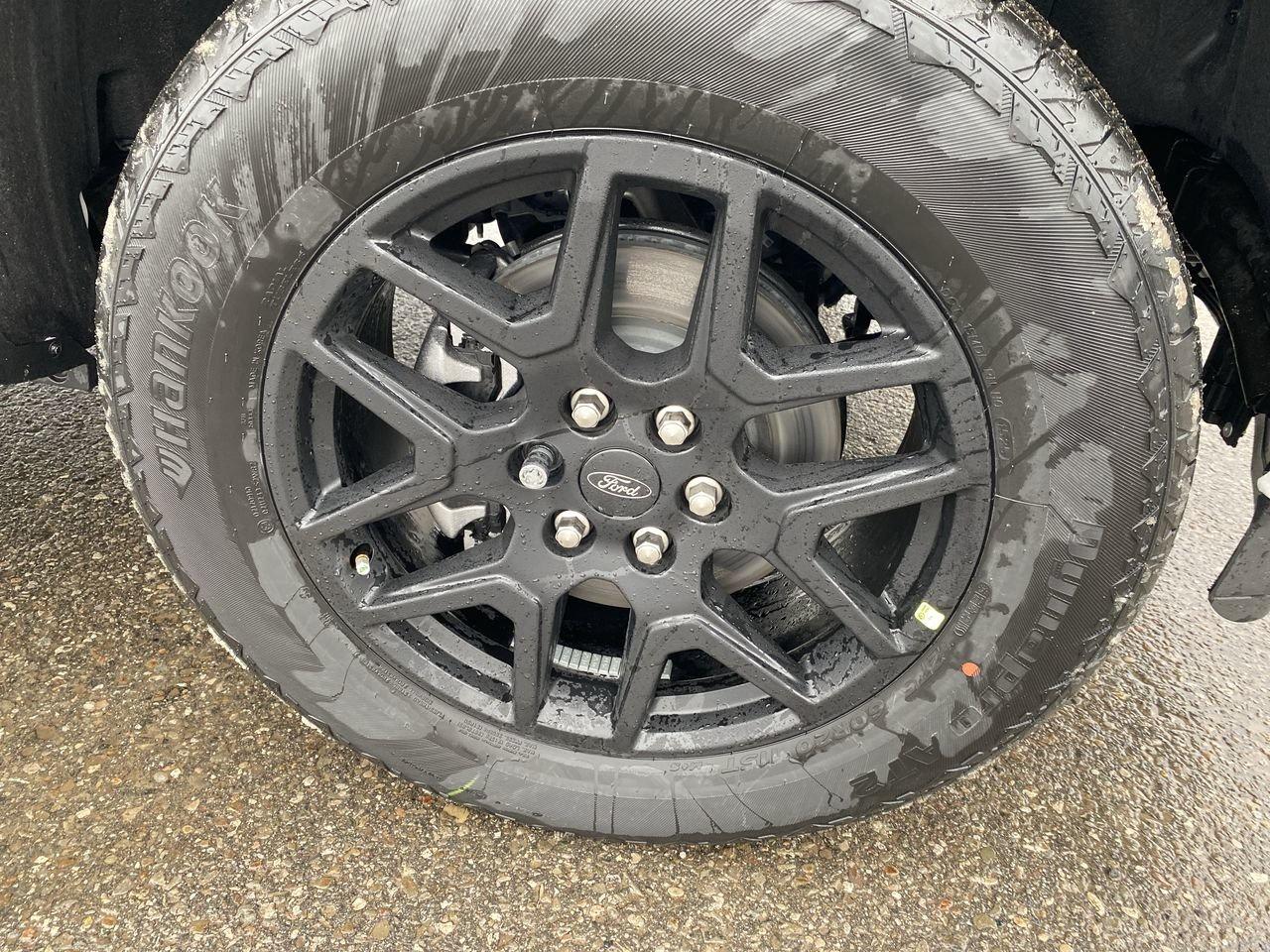 2025 Ford F-150 STX Photo