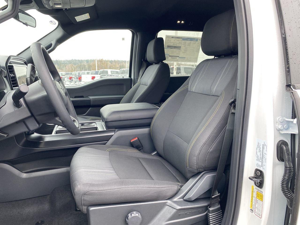 2025 Ford F-150 STX Photo