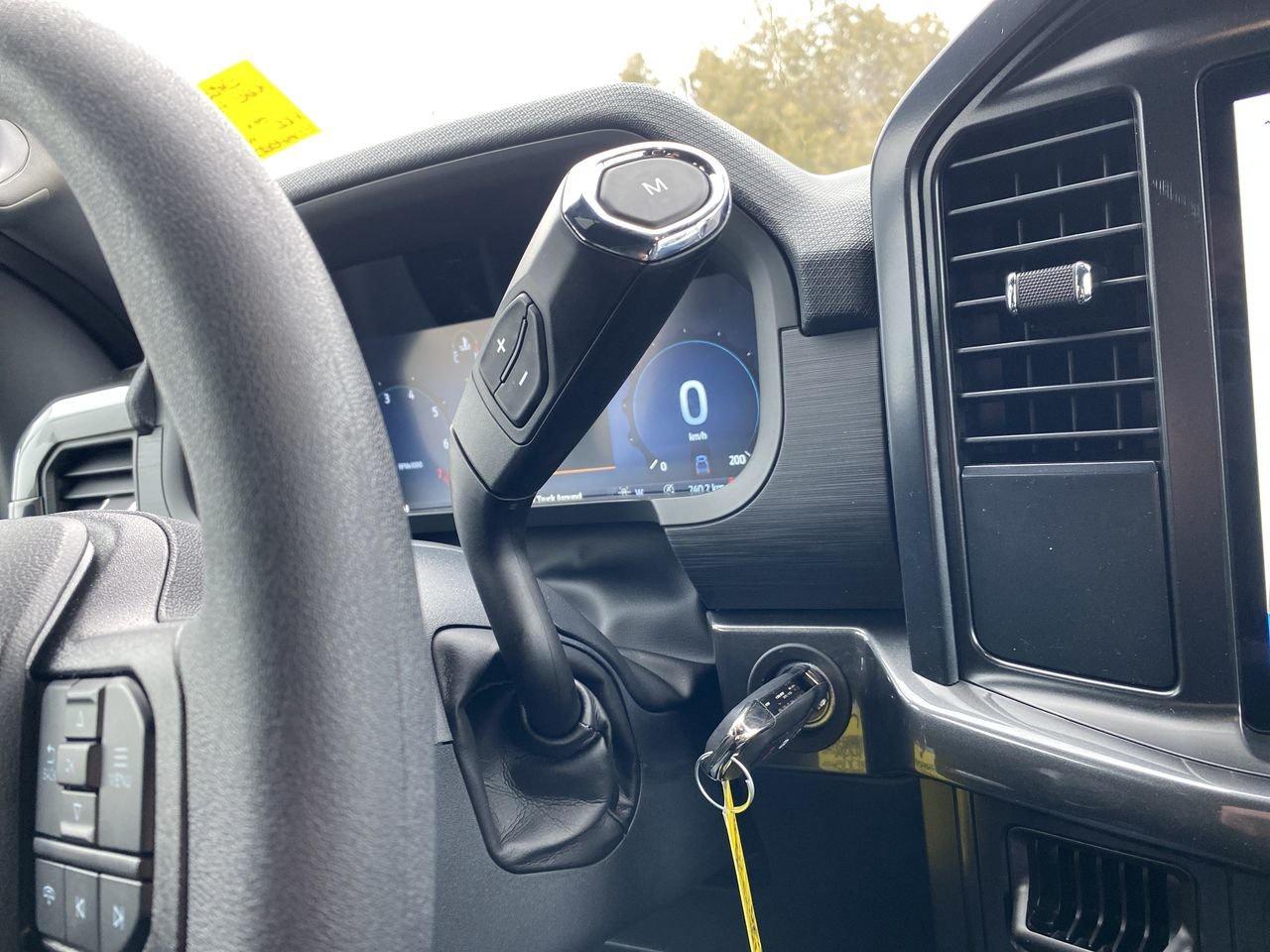 2025 Ford F-150 STX Photo