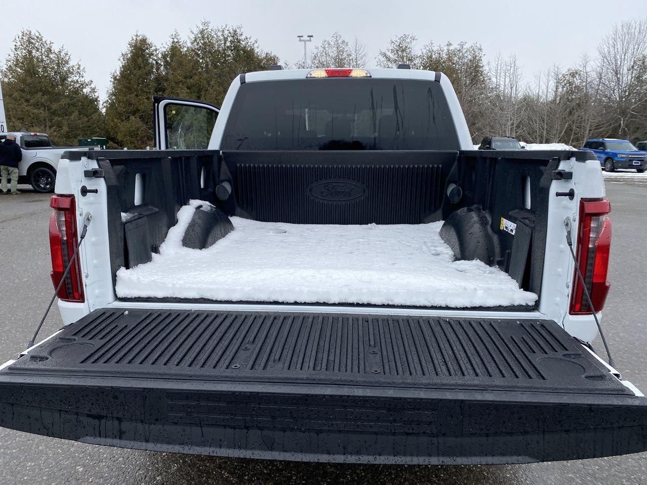 2025 Ford F-150 STX Photo