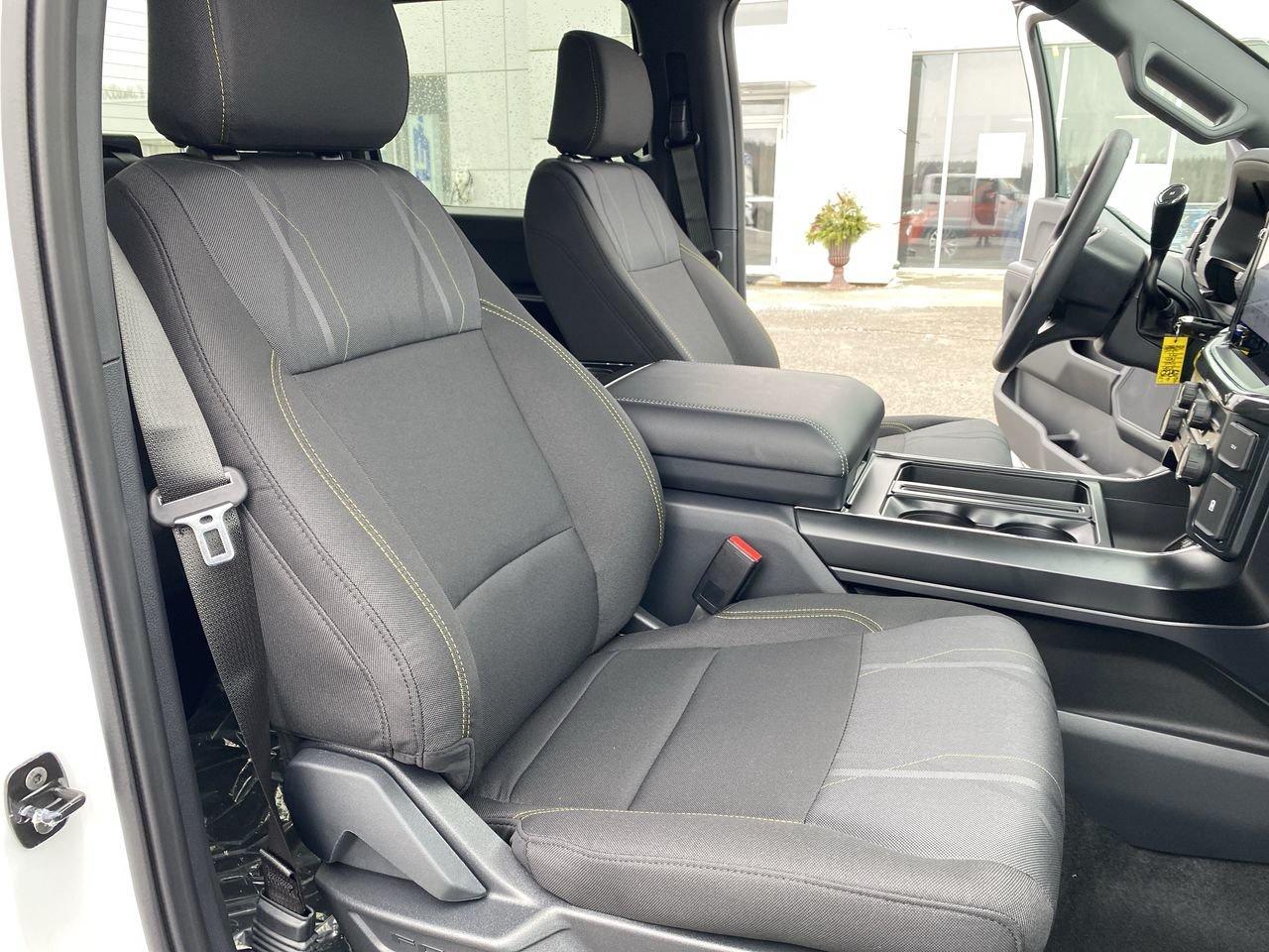 2025 Ford F-150 STX Photo