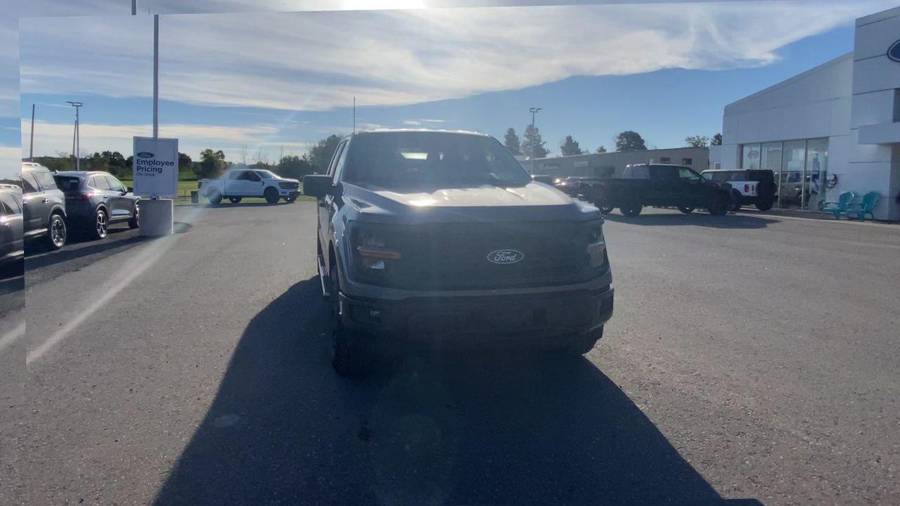 2025 Ford F-150 STX Photo
