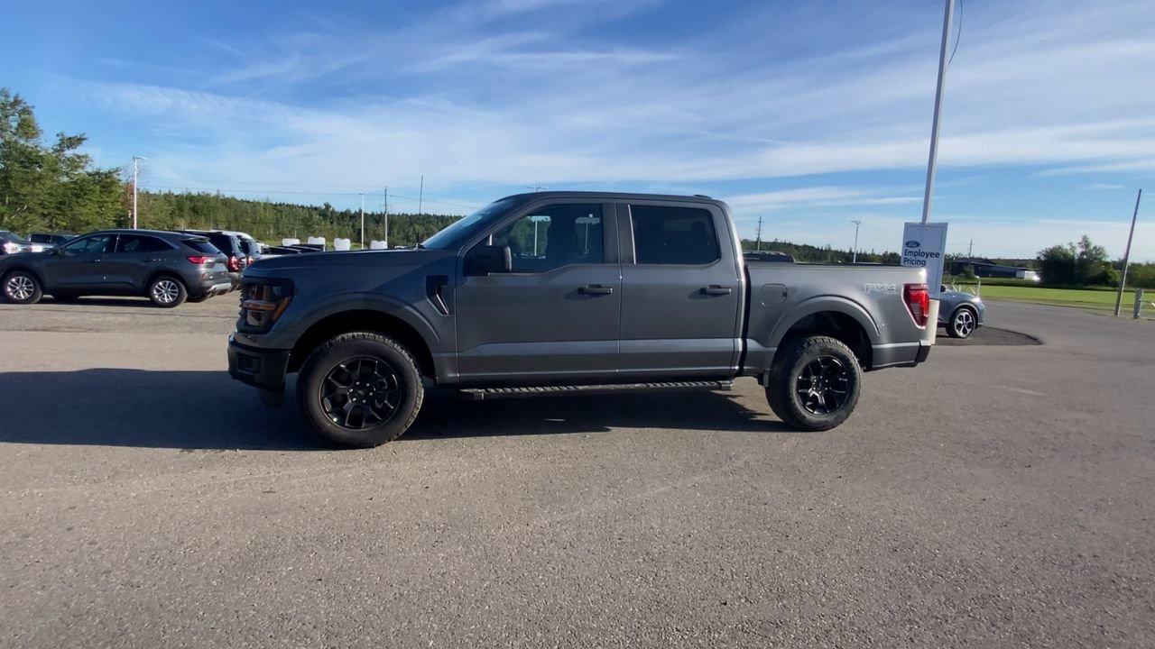 2025 Ford F-150 STX Photo