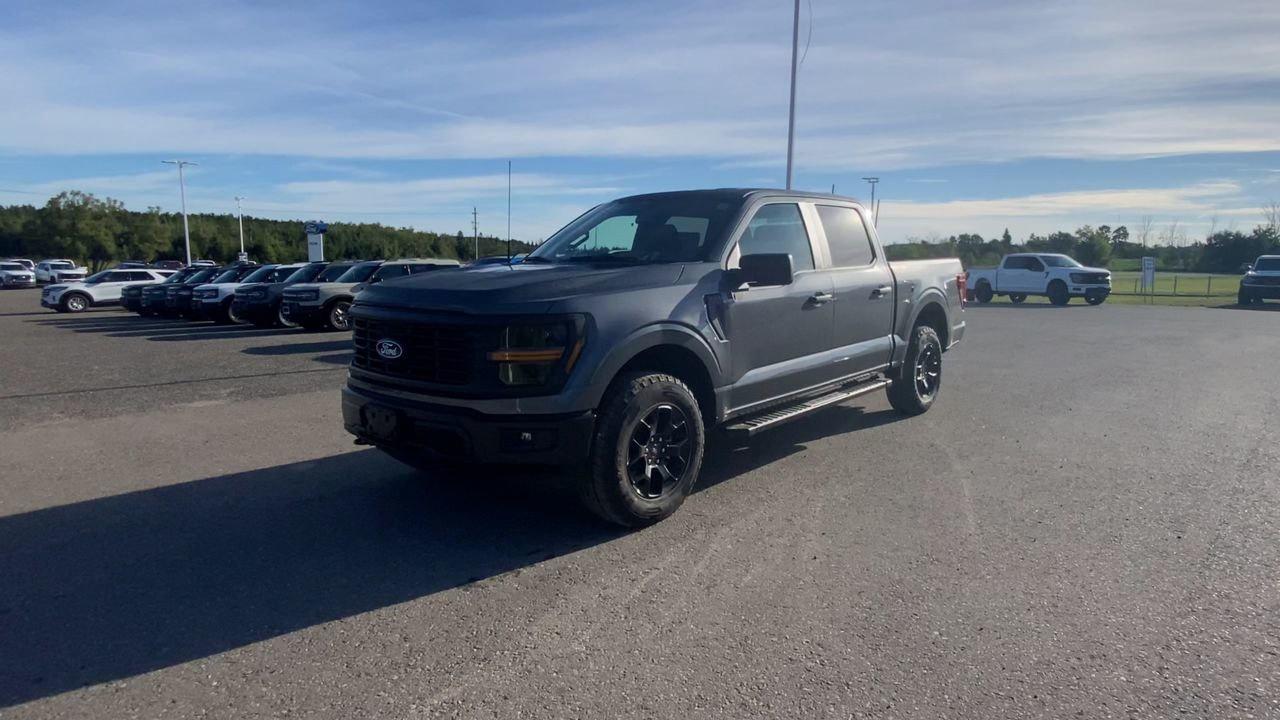 2025 Ford F-150 STX Photo