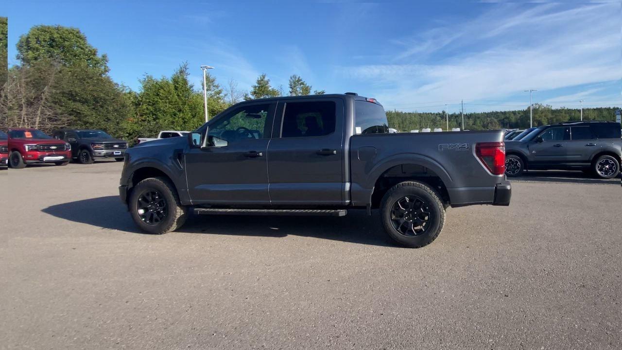 2025 Ford F-150 STX Photo