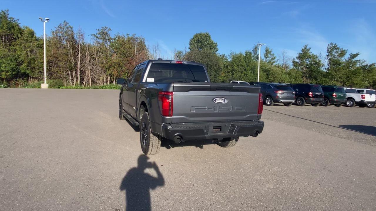 2025 Ford F-150 STX Photo