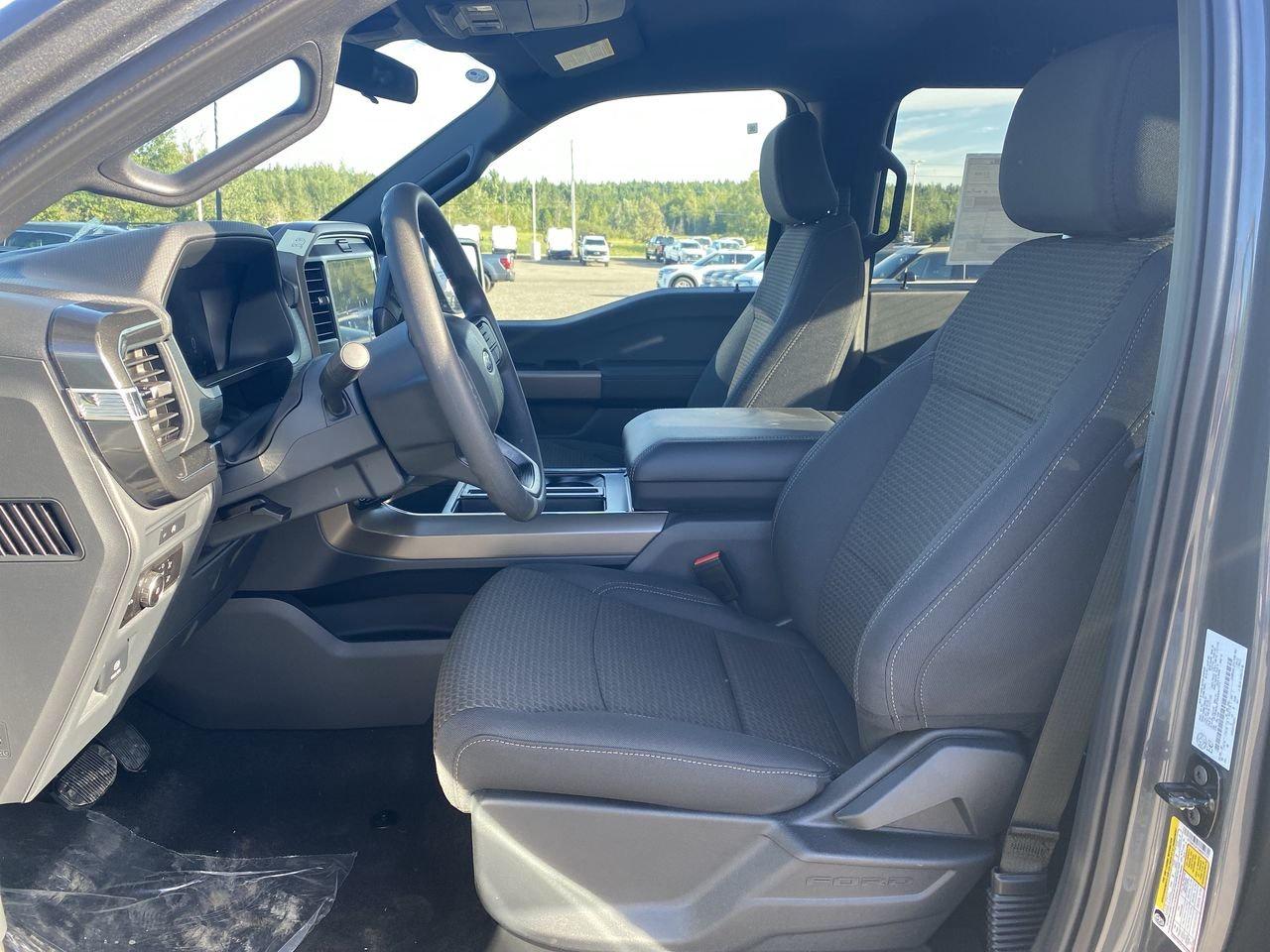 2025 Ford F-150 STX Photo