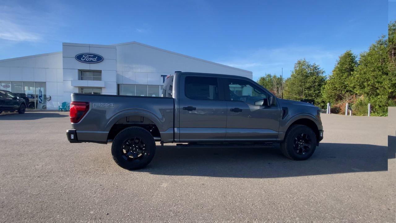 2025 Ford F-150 STX Photo