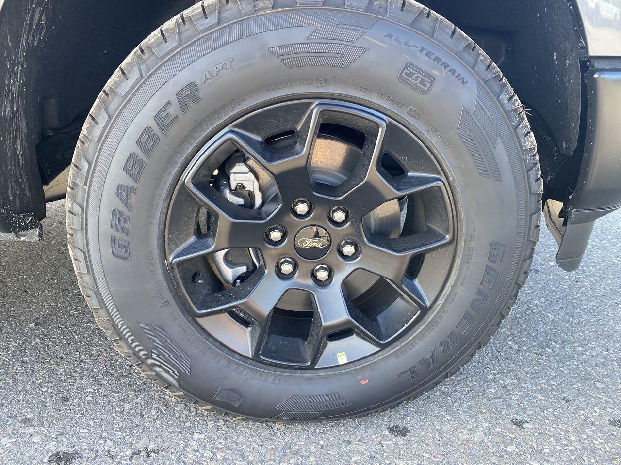 2025 Ford F-150 STX Photo