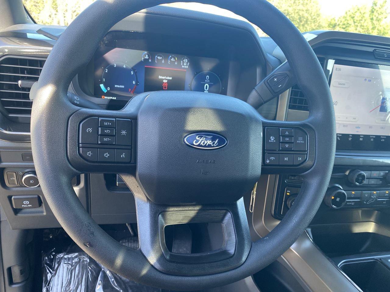 2025 Ford F-150 STX Photo