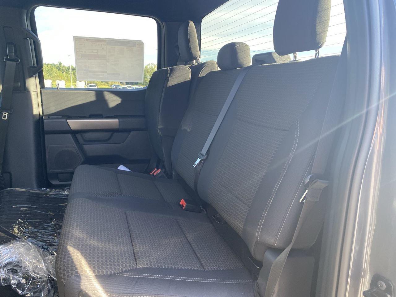 2025 Ford F-150 STX Photo