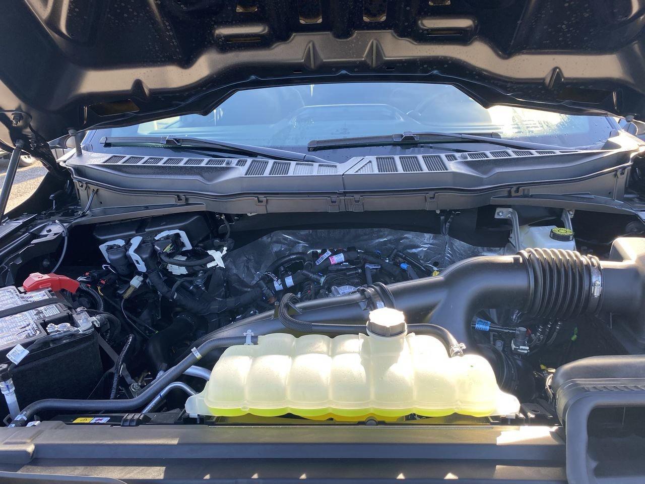 2025 Ford F-150 STX Photo