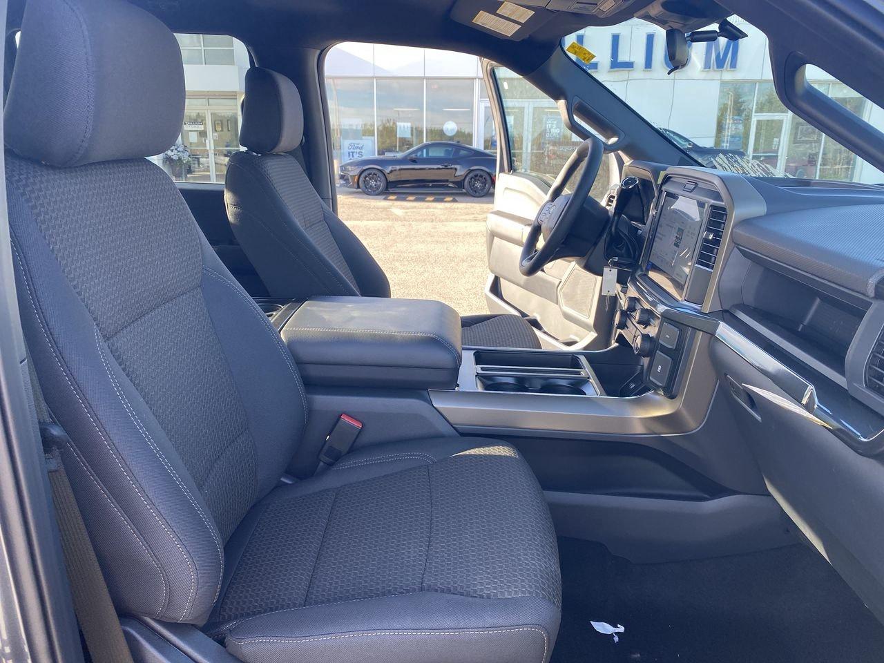 2025 Ford F-150 STX Photo