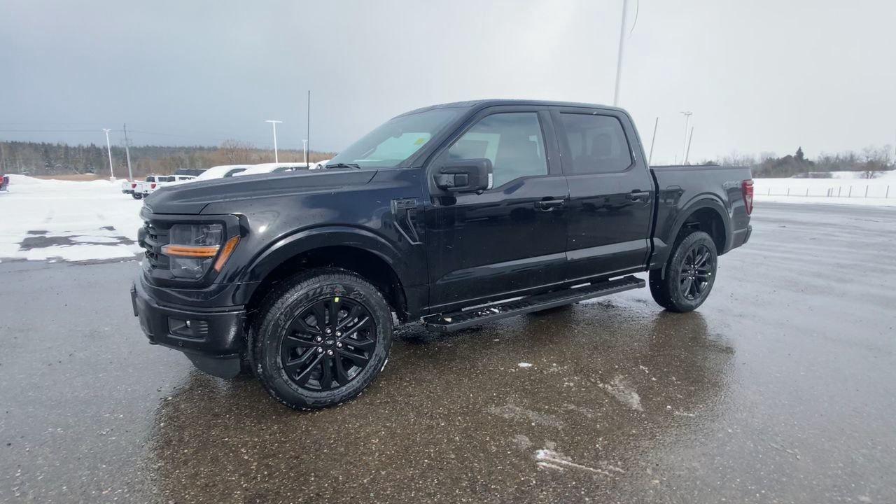 2026 Ford F-150 XLT Photo3