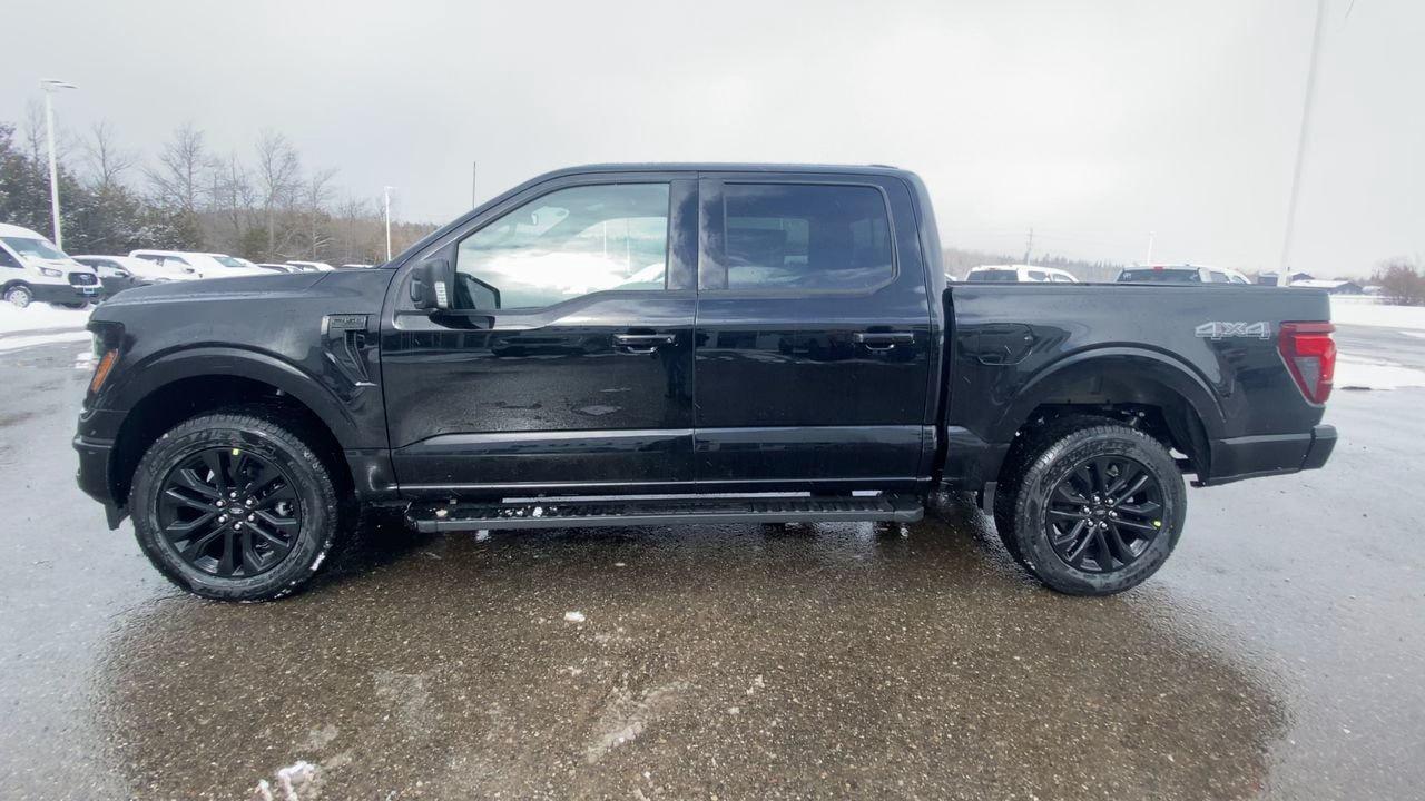 2026 Ford F-150 XLT Photo