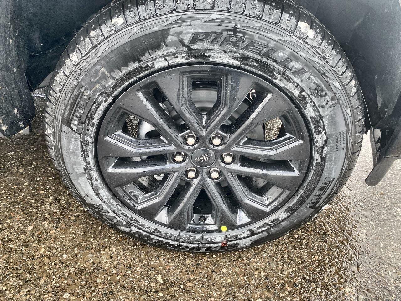 2026 Ford F-150 XLT Photo