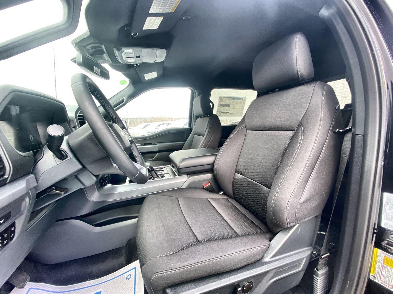 2026 Ford F-150 XLT Photo