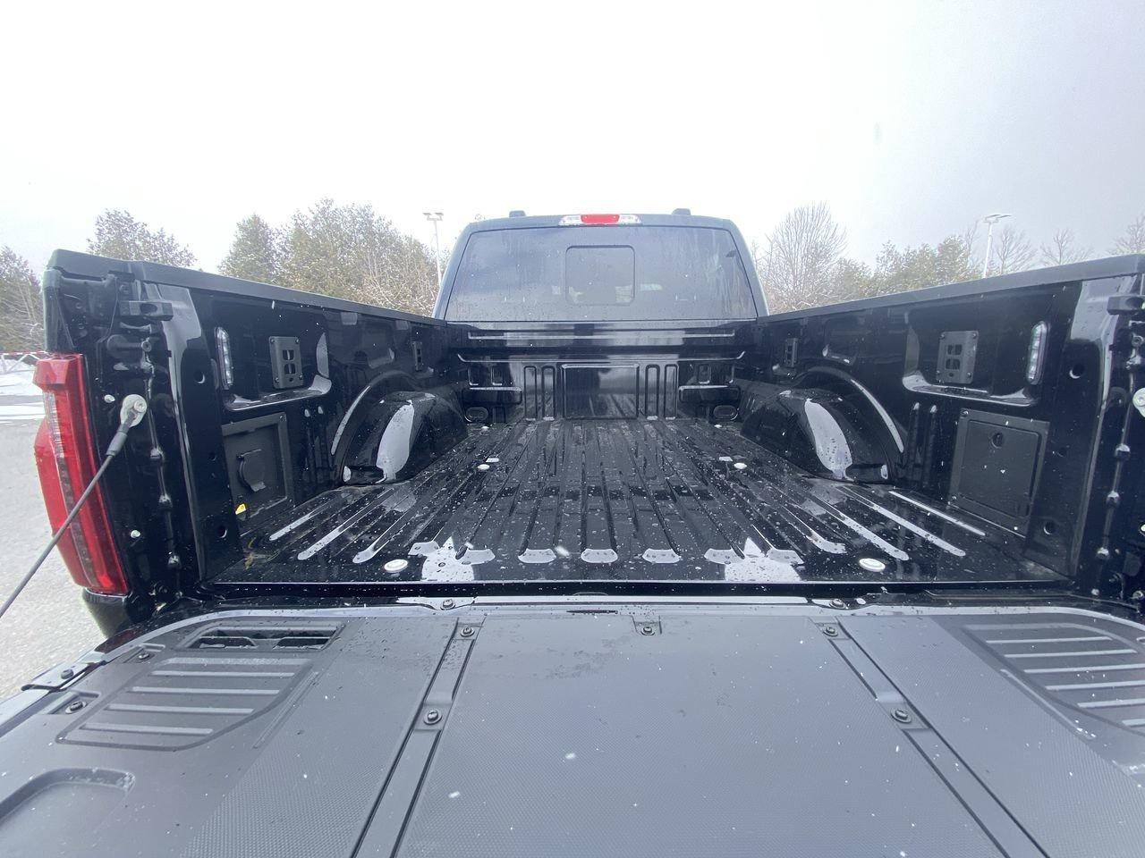 2026 Ford F-150 XLT Photo