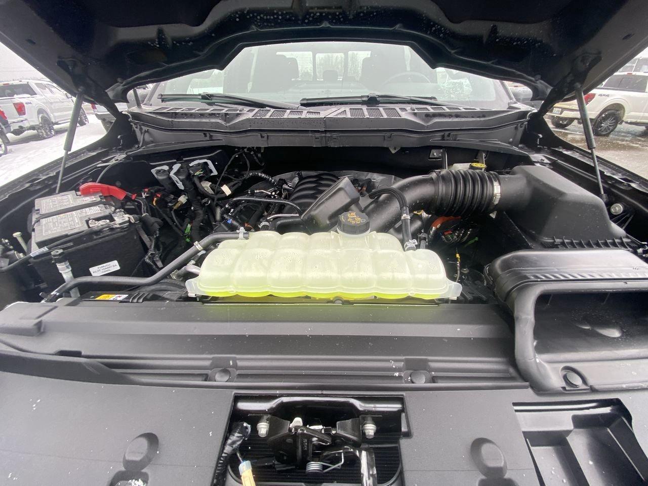 2026 Ford F-150 XLT Photo